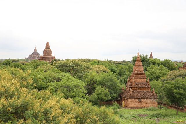 Objetivo Birmania - Blogs de Myanmar - 14-08-16 Primer día en Bagan. (4)