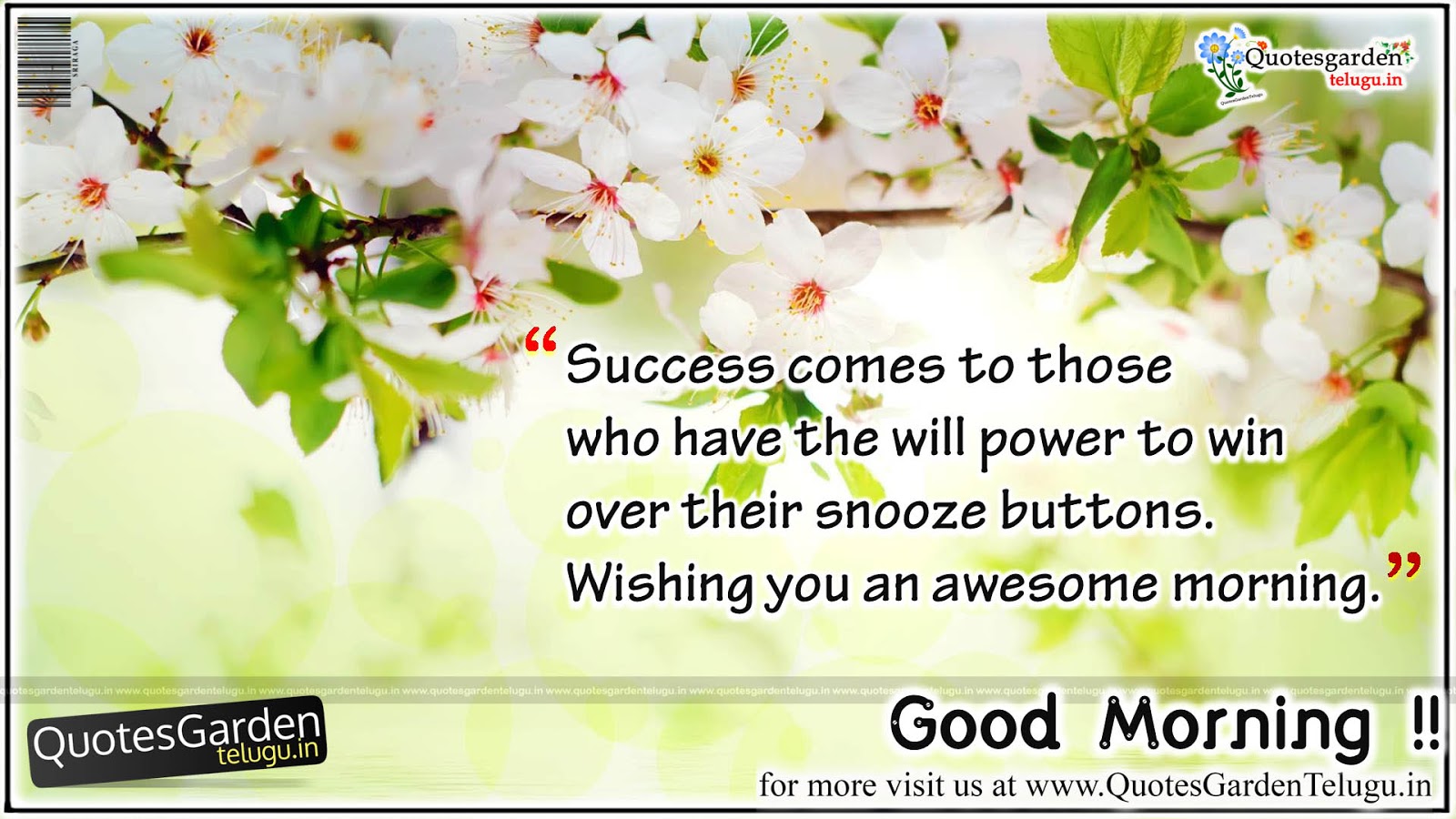 Best of good morning wishes messages | QUOTES GARDEN TELUGU ...