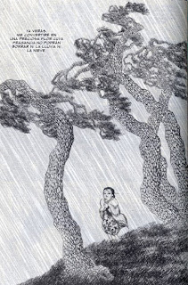 Viñeta del cómic "Historias color tierra", de Kim Dong-Hwa Viñeta del cómic "Historias color tierra", de Kim Dong-Hwa