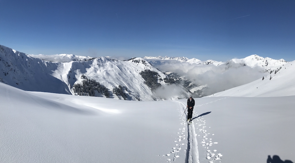 Das Grune Herz Der Nation Im Praxistest Stutzen Der Gesellschaft