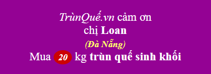 Trùn quế Cam Ranh