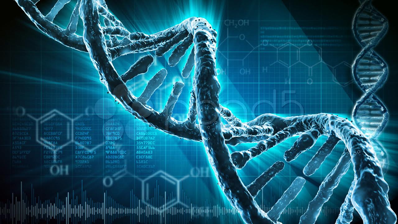 Completan La Primera Terapia Contra El Envejecimiento