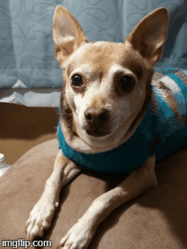 Https Encrypted Tbn0 Gstatic Com Images Q Tbn And9gcqzsn5hpfl1ifstjzexbikn5nmgp3jccgl3rw Usqp Cau