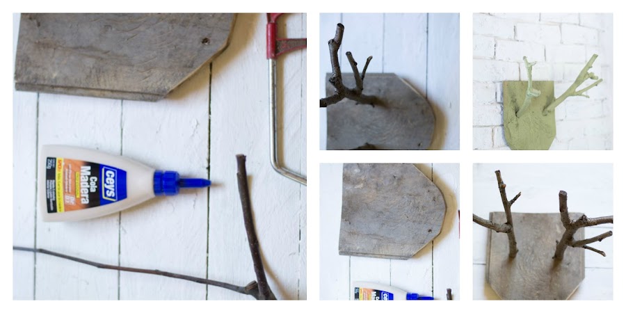  Trofeo ramas decorativas diy