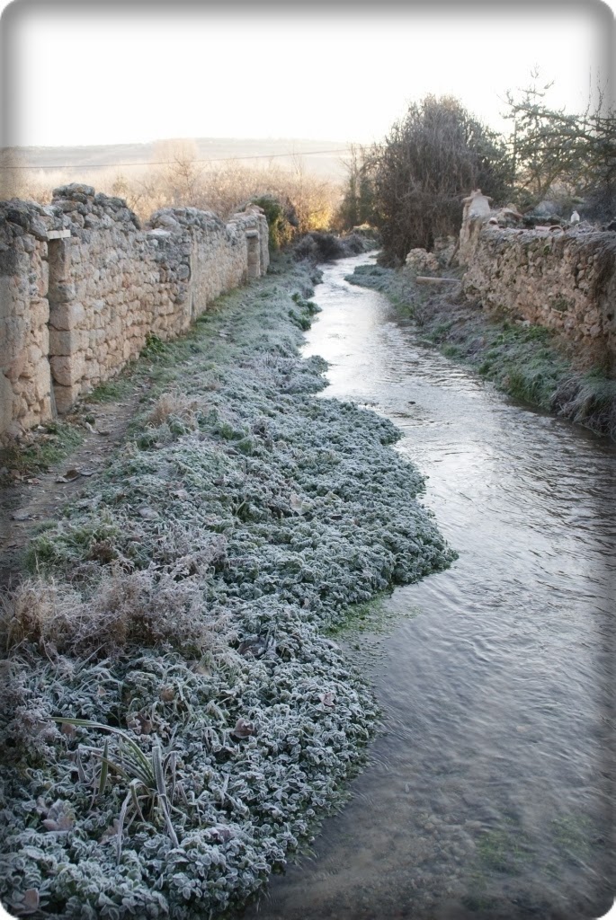 COSAS DE ESPINOSA DE CERRATO PALENCIA CENCELLADA EN ESPINOSA DE
