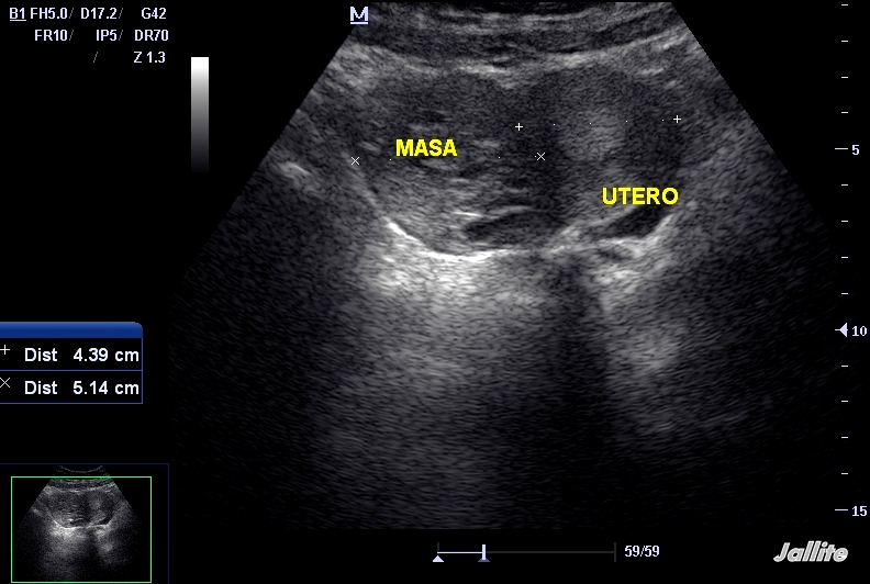 Diario de un Medico II diciembre 2012