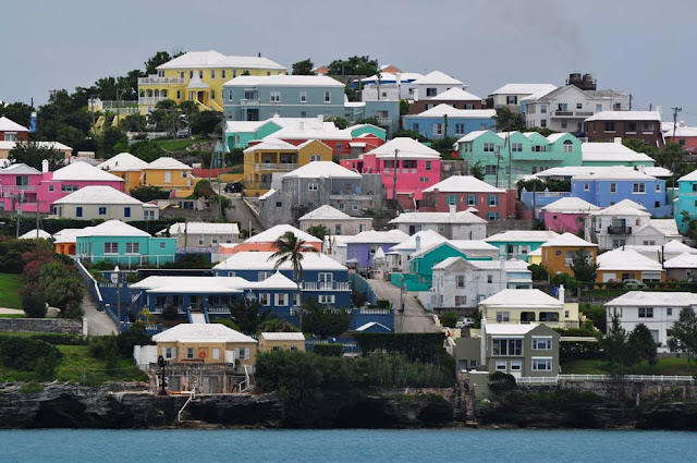 Resultado de imagem para hamilton bermuda