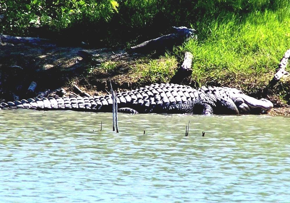 Choke Canyon Reservoir Choke Canyon Lake Level