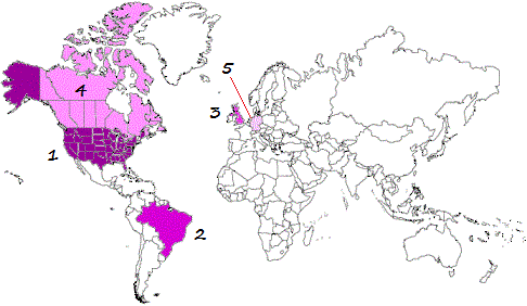 Top 5 countries using Twitter