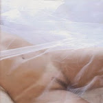 Todas as Playboys 25