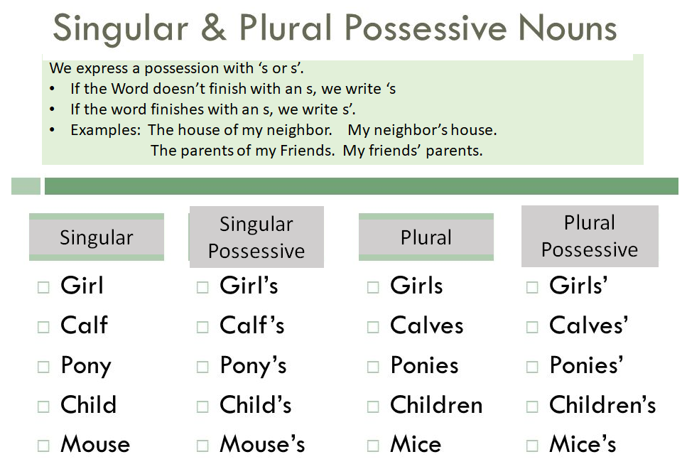 Plural nouns words. Possessive Nouns в английском языке. Noun singular and plural правило. Singular and plural таблица. Singular plural правило.