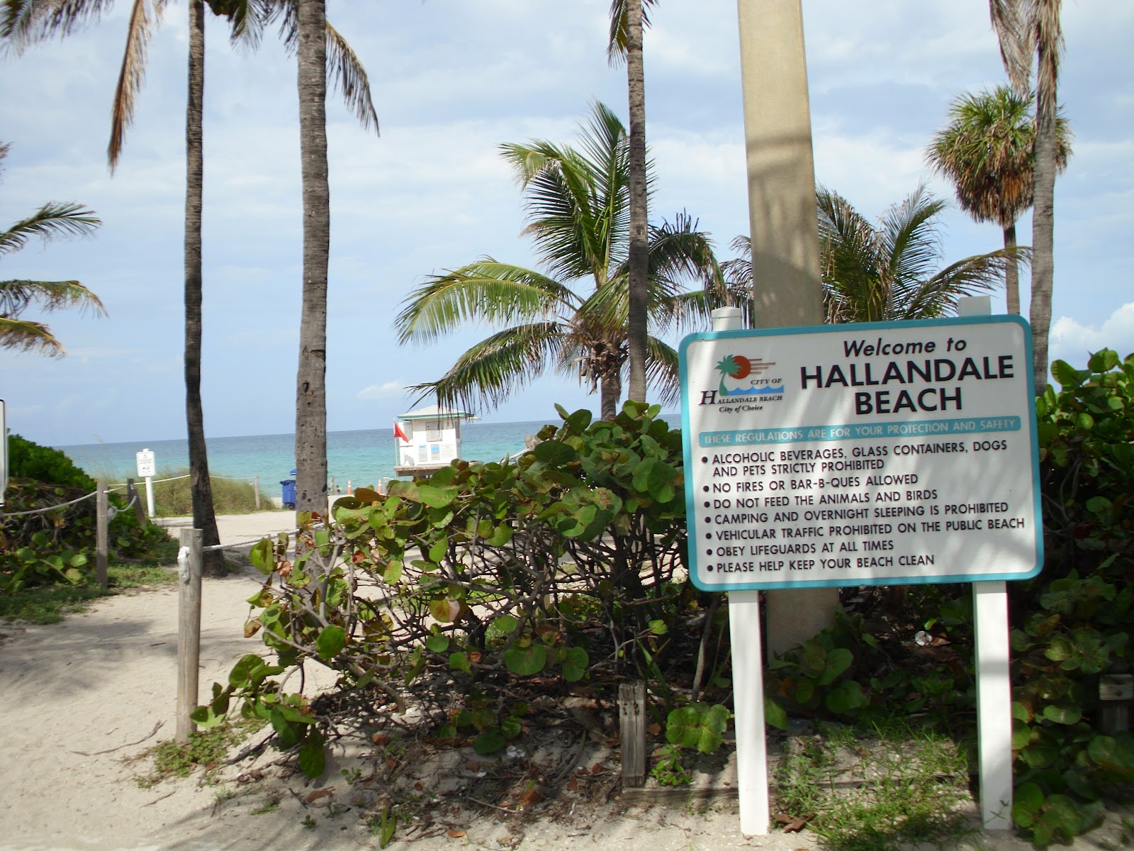 Hallandale Beach/Hollywood Blog Outsourcing isn't the real problem