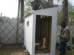 roof chicken coop siding windows backyard corrugated dallas parents texas building aluminum