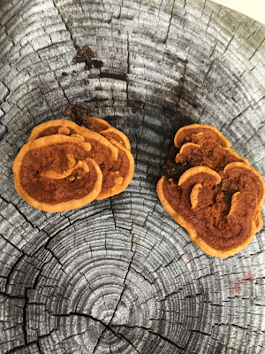 Obession To Creativity My Way To Creativity