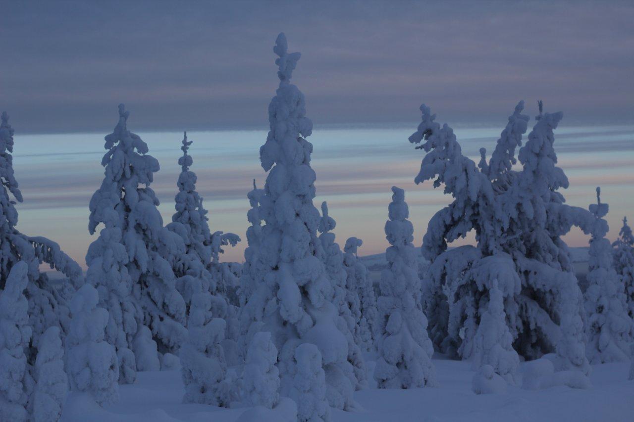 Naruskan Tukikohta Kallenp iv n Maisemakuvat Naruskan Tukikohta Kallenp iv n Maisemakuvat