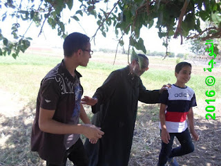 الحسينى محمد , الخوجة, بركة السبع,المنوفية,التعليم,المعلمين,فوائد أكل التوت,التوت,العلاج الطبيعى الحسينى محمد , الخوجة, بركة السبع,المنوفية,التعليم,المعلمين,فوائد أكل التوت,التوت,العلاج الطبيعى