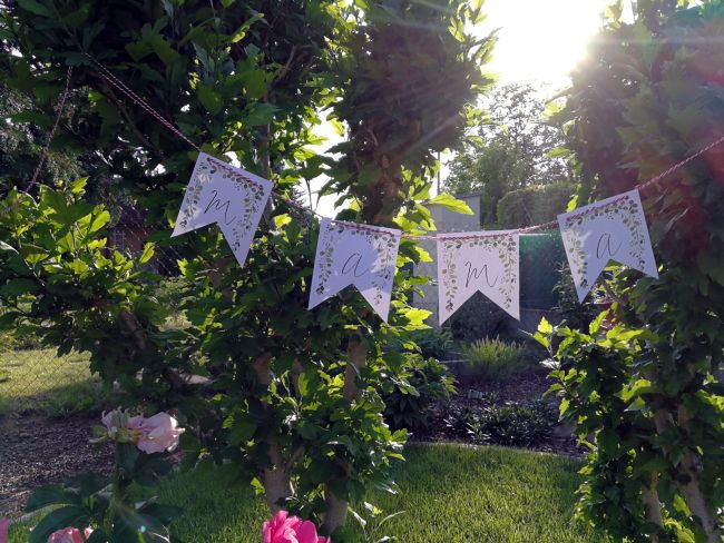 Rotes Laub Im Garten