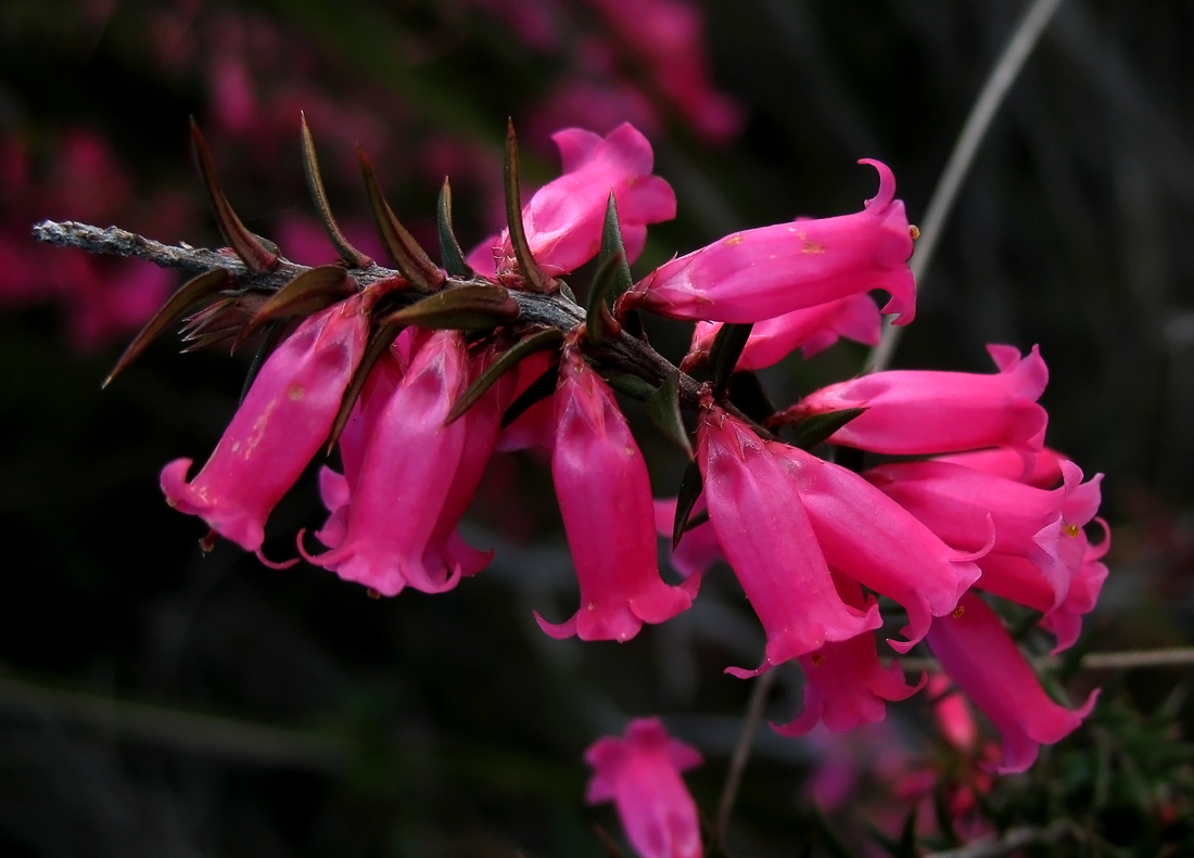 Images by Christine Walsh 20110619