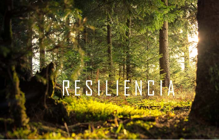 RESILIENCIA_DEFINICION_XYZ RESILIENCIA_DEFINICION_XYZ
