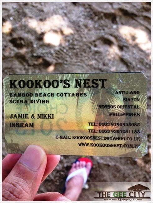 Kookoo's Nest contact details