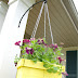 5 Hanging Planters That Will Make Your Garden Look Amazing - 101 Gardening