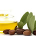 Huile de jojoba: de nombreux avantages esthétiques