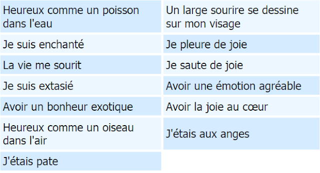 vocabulaire pour exprimer la joie en français