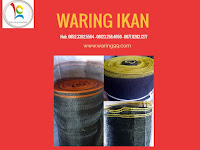Cara Sukses Budidaya Kakap Putih dengan Waring Ikan Cara Sukses Budidaya Kakap Putih dengan Waring Ikan