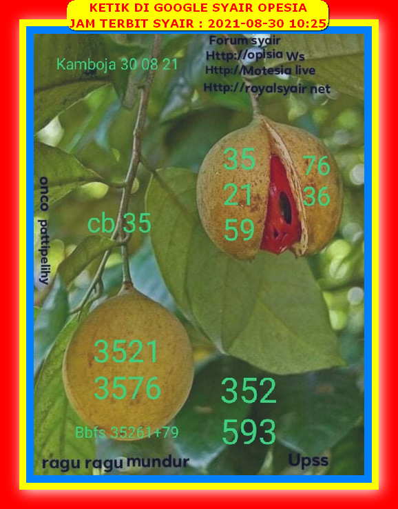 Syair Harian Sdy 30 Agustus 2021 Kode Syair Sgp Hk Sd Motesia