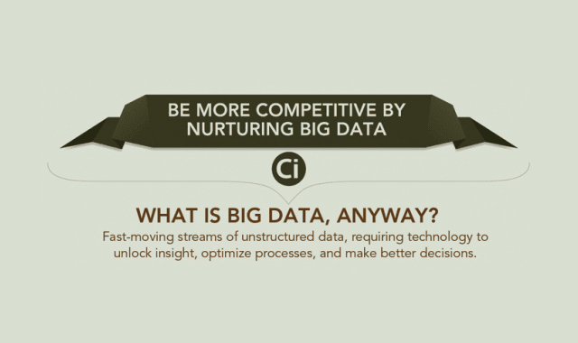 Be More Competitive By Nurturing Big Data