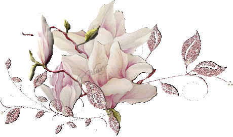 divisor_de_texto_flor_bracagrande.gif