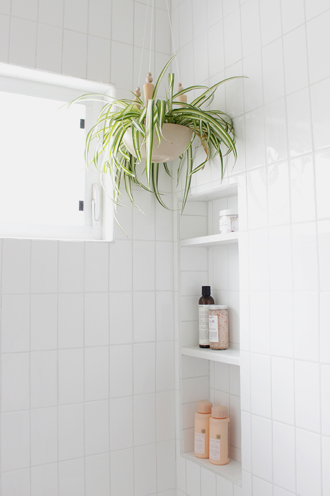 And The Next Big Design Fad Is Shower Plants? Kayla Lynn