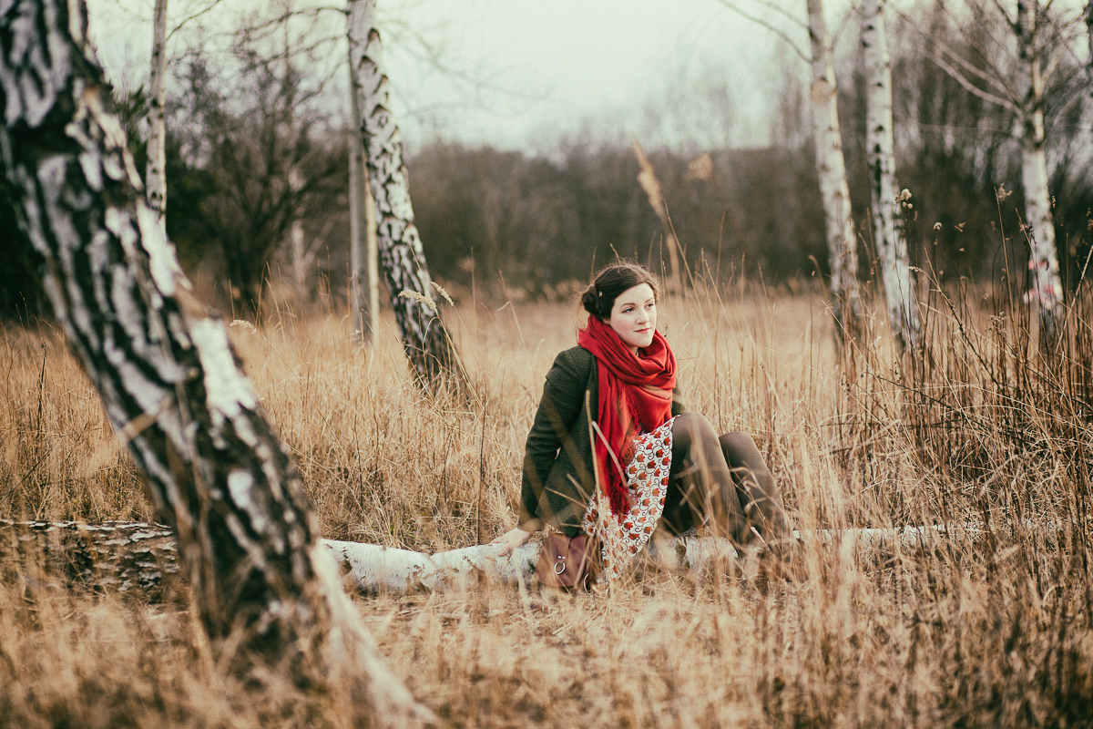 What is a swinger of birches