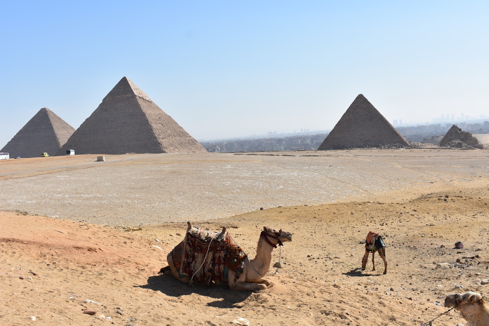 Egypt Misr where history is "present"!