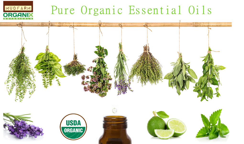Mudfarm Organix Botanicals Pure Organic Essential Oils Rosemary