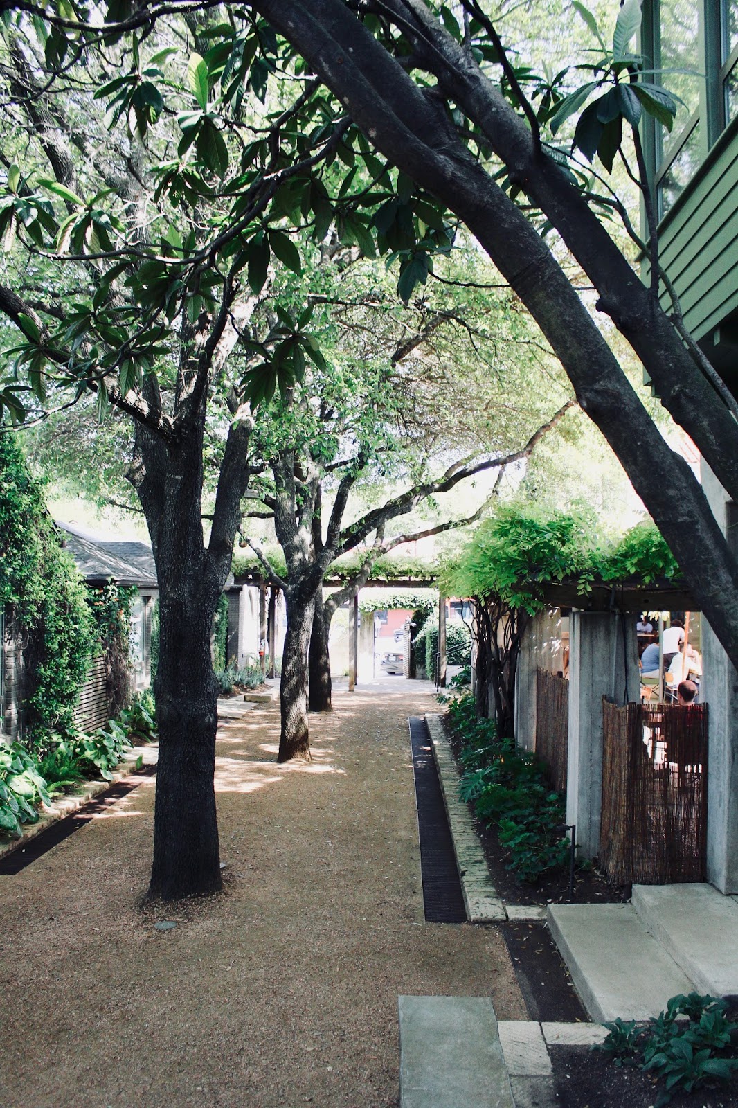 Austin Hotel San Jose