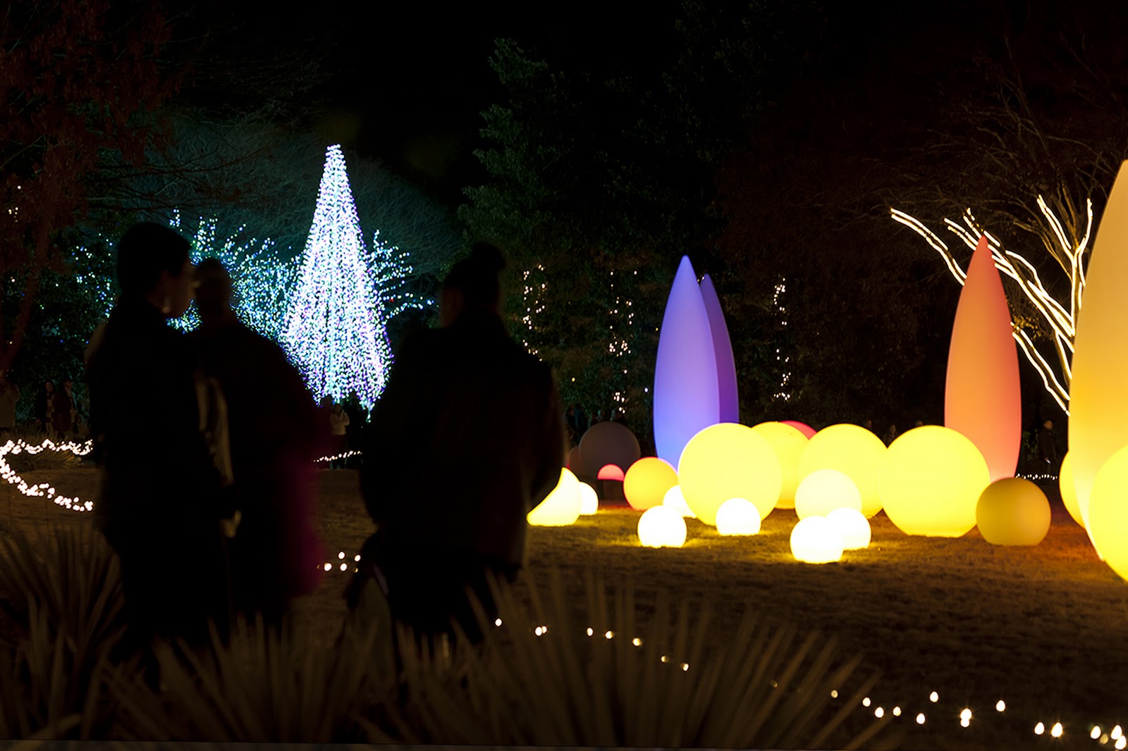 Bruce W. Halliburton Photography GARDEN LIGHTS HOLIDAY NIGHTS