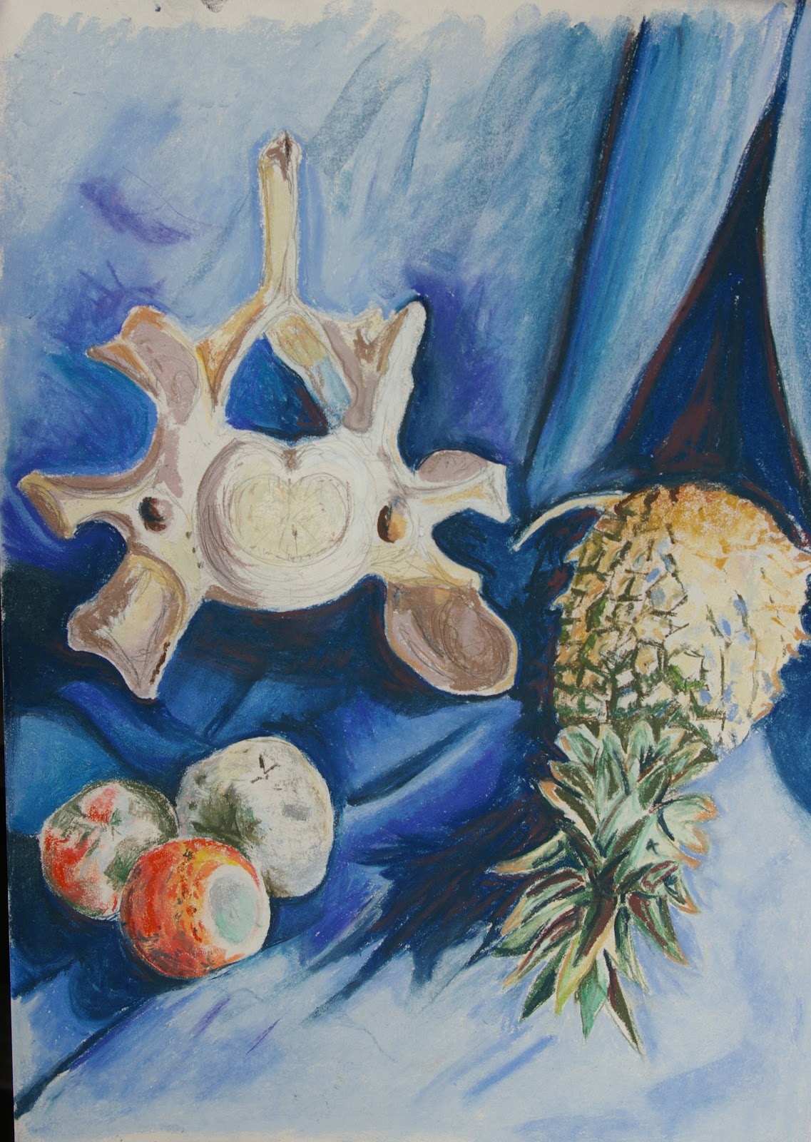 Aylish's OCA Learning Log: Assignment One: First Drawing - Natural Forms