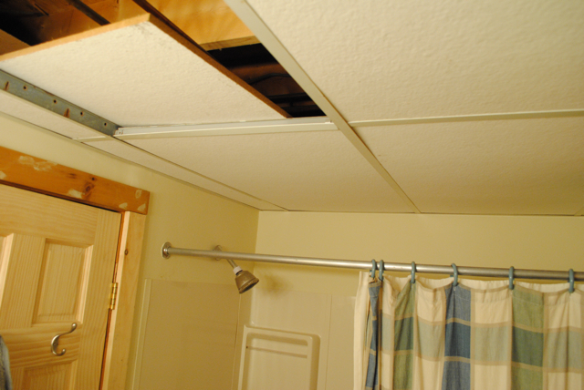 The Little Dog Blog March 2013