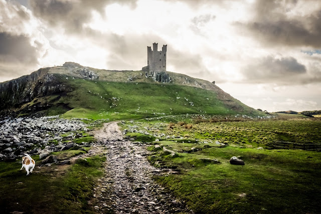 Holly visiting Dunstanburgh Castle, Northumberland dog friendly holiday cottages in embleton, northumberland, mandy charlton, photographer, writer, blogger