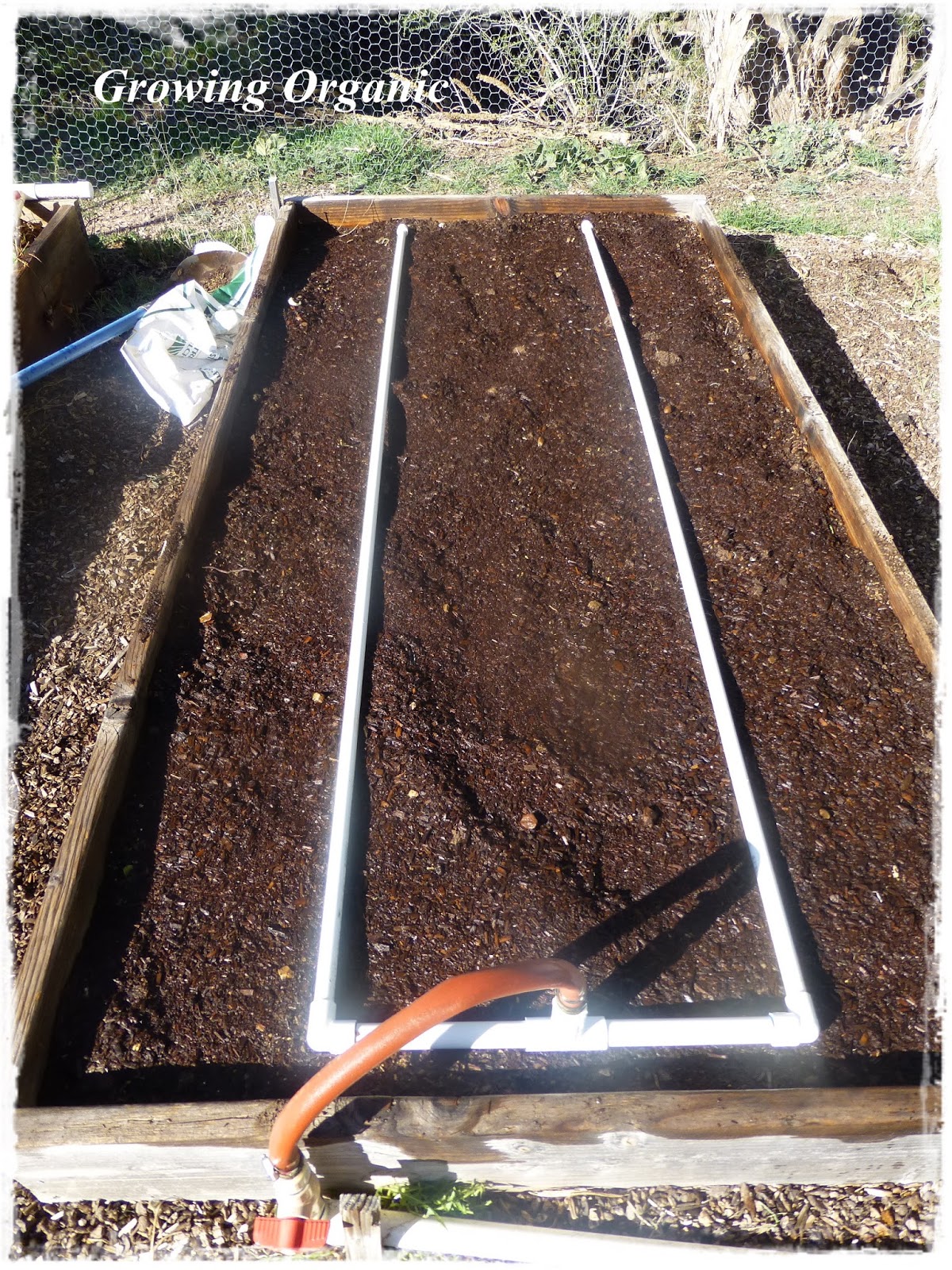 Growing Organic Signs of Spring & How to Warm Your Soil