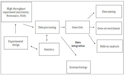 Bioinformatics Processes