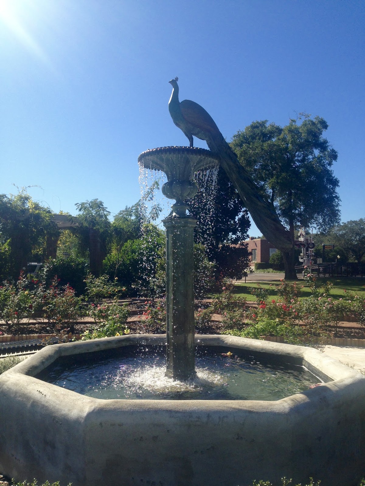 Amy's Creative Pursuits Fall Flowers in Winter Park, Florida