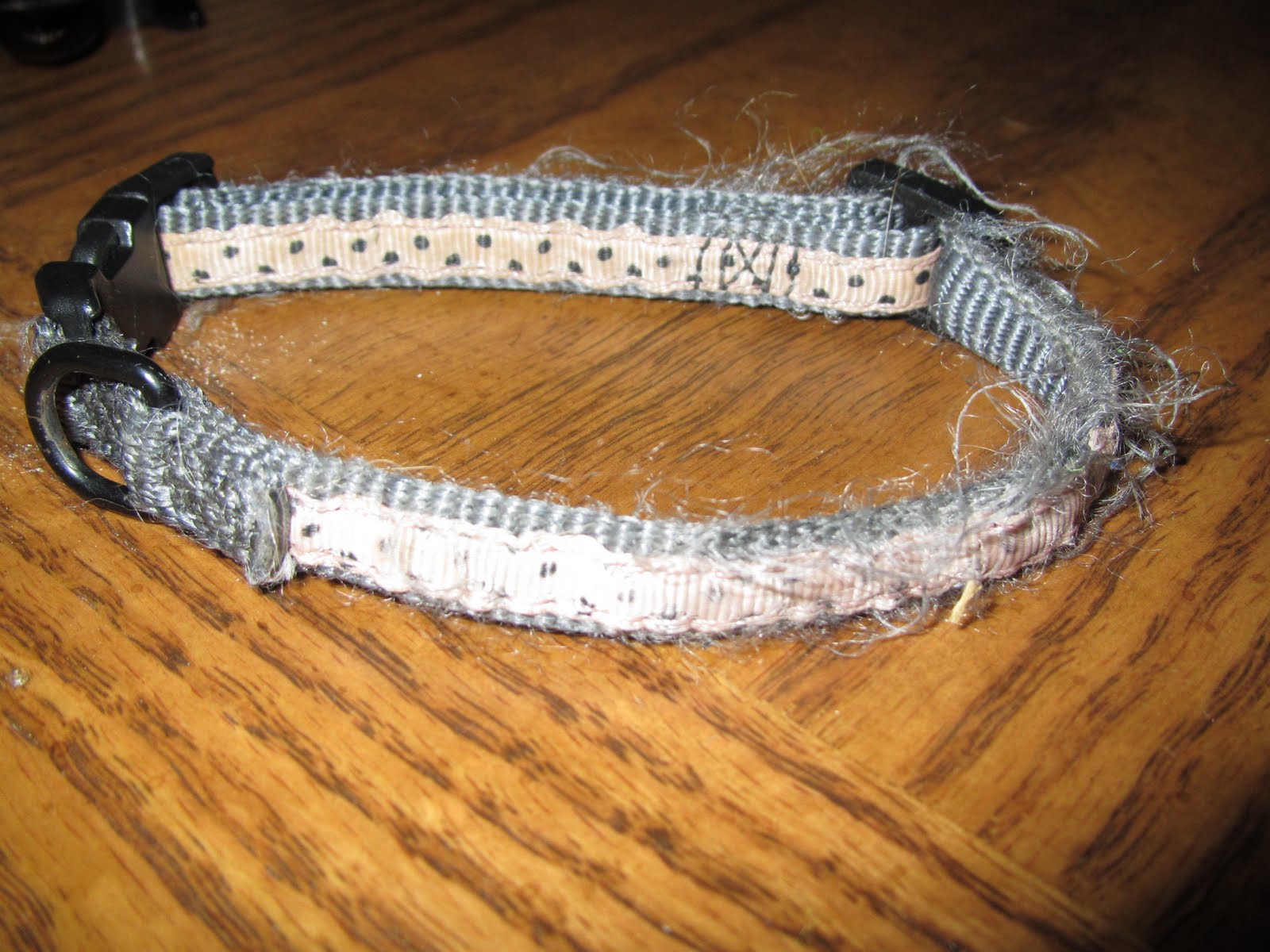 Floating Along... Collar vs. Harness