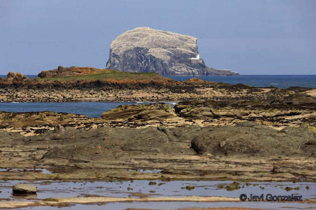 North Berwick, Scotland, 