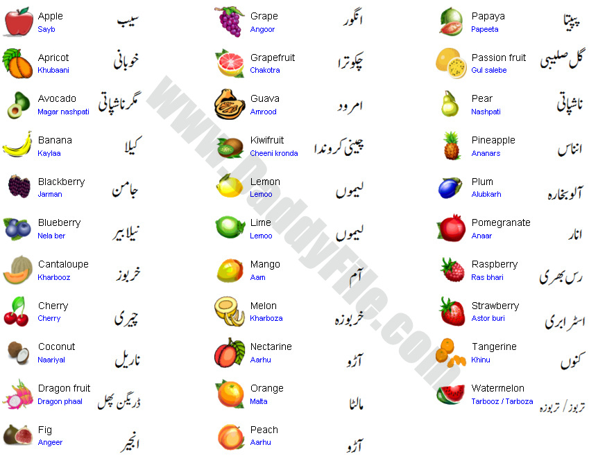 Fruits Name Word Meanings And Sentences In English And Urdu Learn English DaddyFile