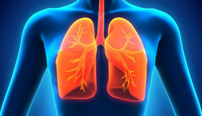 5 Cara Membersihkan Paru Paru Untuk Mantan Perokok Bang Abu Music