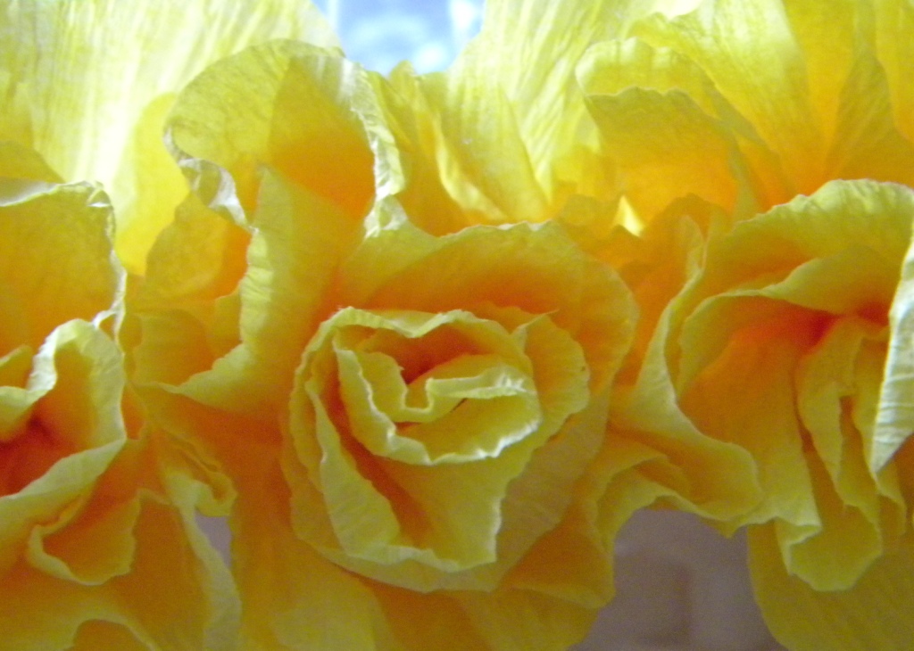 homework Inkling crepe paper flowers