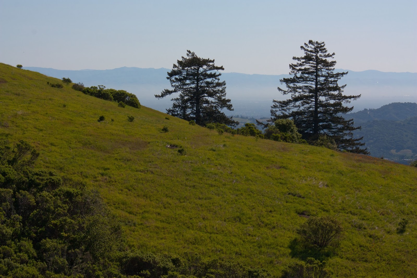 Hiking Shenandoah Windy Hill