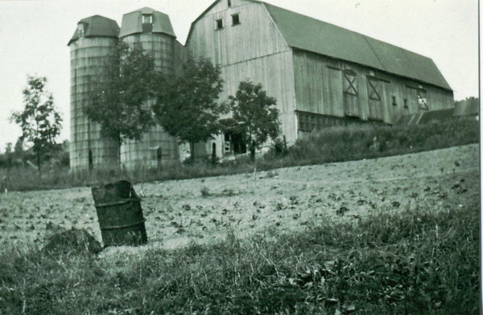 The Brass Bell History of a Suburb